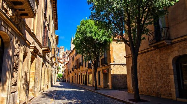 Les incontournables d'Avignon : escapade culturelle et gourmande