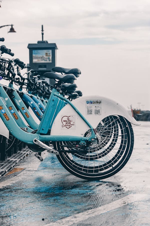 Trouvez la meilleure location de vélos sur l'île de ré